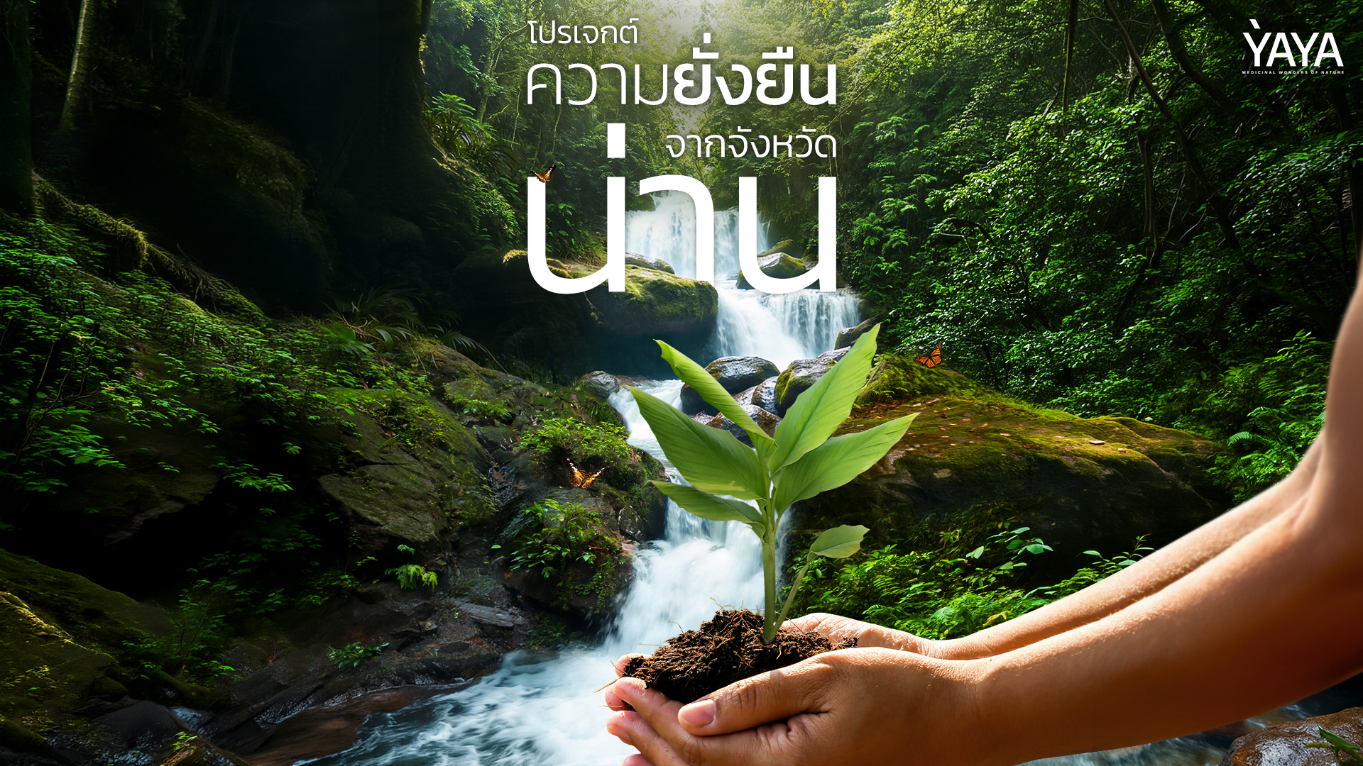 โปรเจกต์ความยั่งยืนจากจังหวัดน่าน