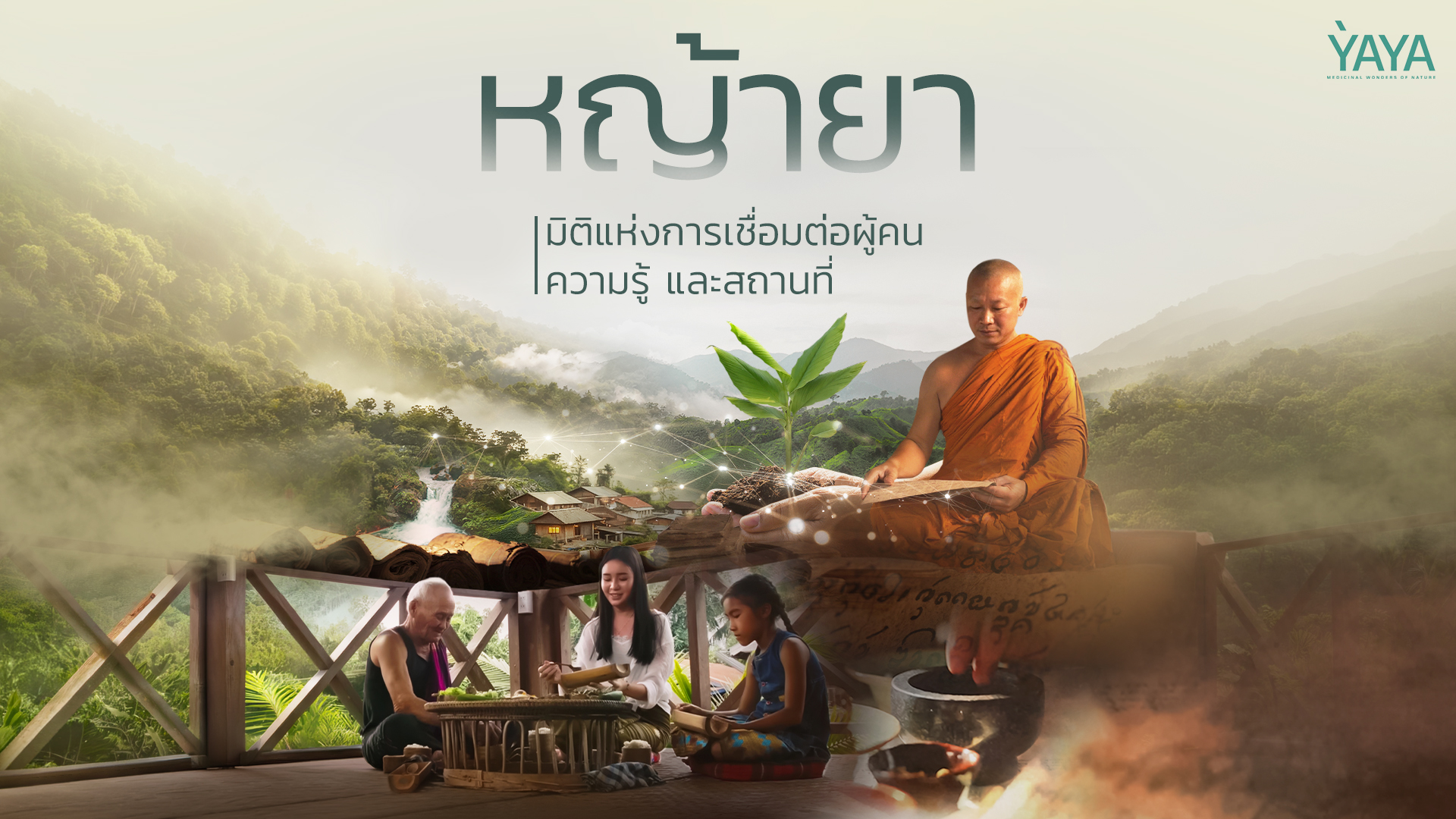 หญ้ายาขุมทรัพย์แห่งความรู้