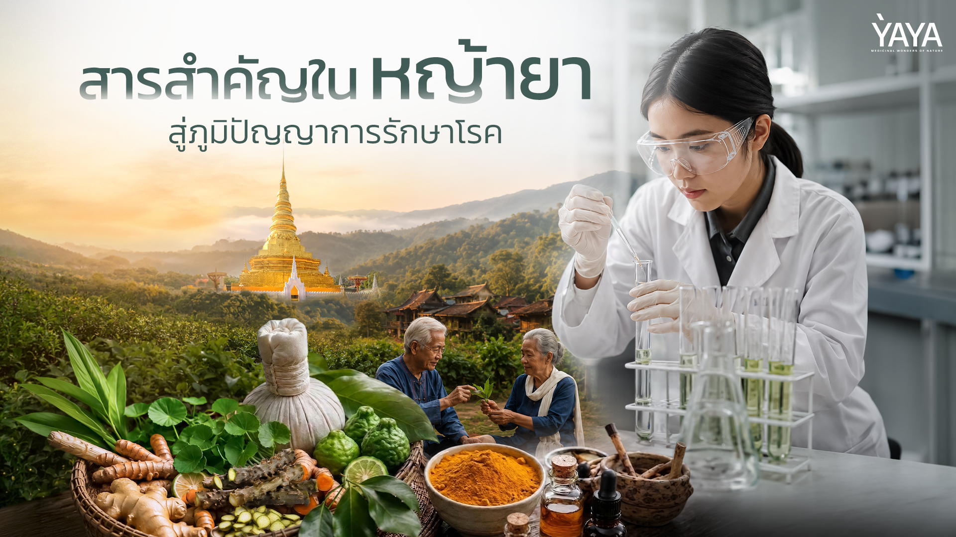 สารสำคัญในหญ้ายา